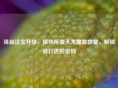 诛仙法宝升级，探寻所需天龙魔血数量，解锁修行进阶密码