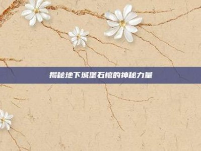 揭秘地下城堡石棺的神秘力量