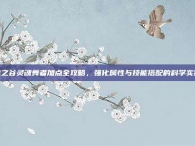 龙之谷灵魂舞者加点全攻略，强化属性与技能搭配的科学实践