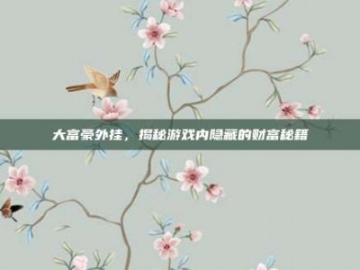 大富豪外挂，揭秘游戏内隐藏的财富秘籍