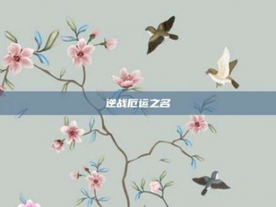 逆战厄运之名