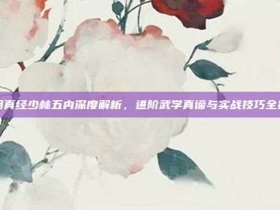 九阴真经少林五内深度解析，进阶武学真谛与实战技巧全指南