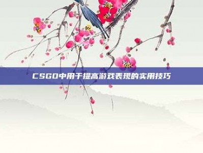 CSGO中用于提高游戏表现的实用技巧