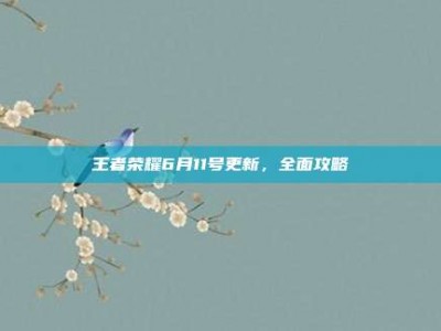 王者荣耀6月11号更新，全面攻略
