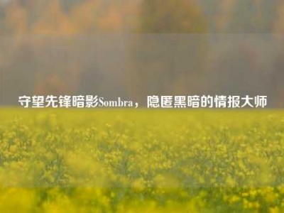 守望先锋暗影Sombra，隐匿黑暗的情报大师