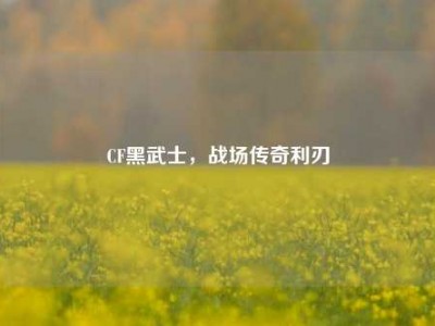 CF黑武士，战场传奇利刃