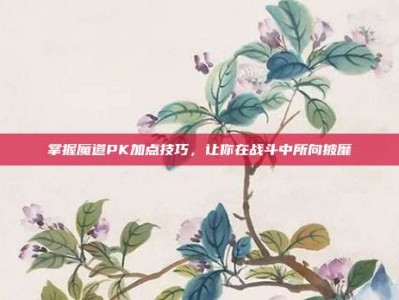 掌握魔道PK加点技巧，让你在战斗中所向披靡