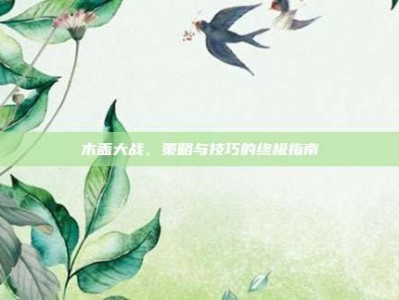木盖大战，策略与技巧的终极指南