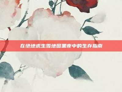 在绝地求生雪地图黑夜中的生存指南