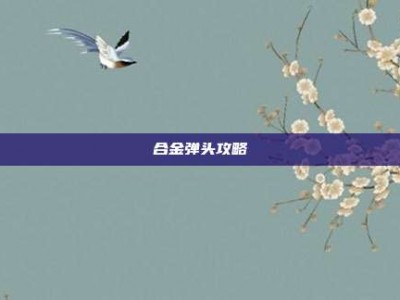 合金弹头攻略