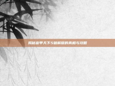 揭秘富甲天下5破解版的真相与攻略