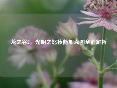 龙之谷2，光明之怒技能加点图全面解析
