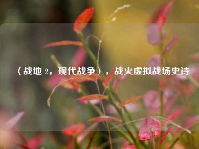 〈战地 2，现代战争〉，战火虚拟战场史诗