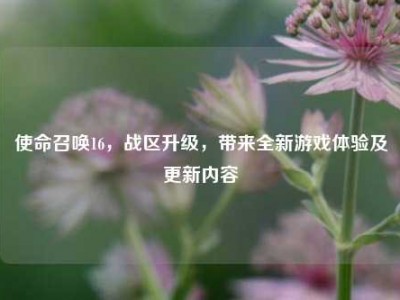 使命召唤16，战区升级，带来全新游戏体验及更新内容