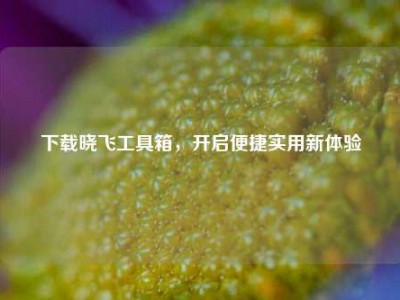下载晓飞工具箱，开启便捷实用新体验
