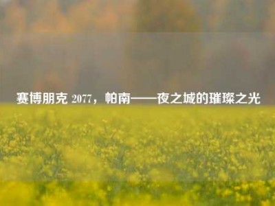 赛博朋克 2077，帕南——夜之城的璀璨之光