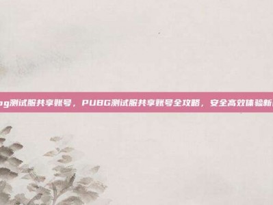 pubg测试服共享账号，PUBG测试服共享账号全攻略，安全高效体验新内容