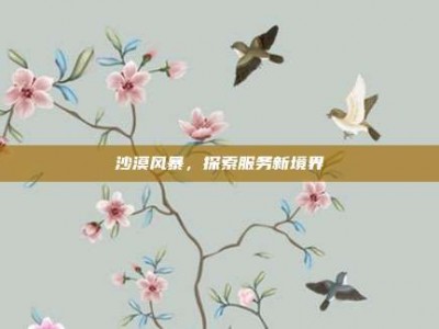 沙漠风暴，探索服务新境界