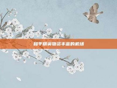和平精英物资丰富的机场
