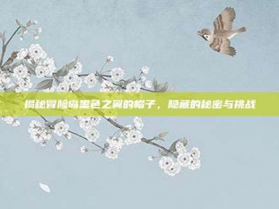 揭秘冒险岛黑色之翼的帽子，隐藏的秘密与挑战