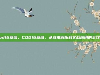 cod16草图，COD16草图，从战术解析到实战应用的全攻略