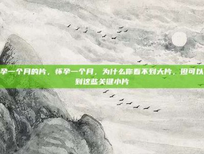 怀孕一个月的片，怀孕一个月，为什么你看不到大片，但可以找到这些关键小片