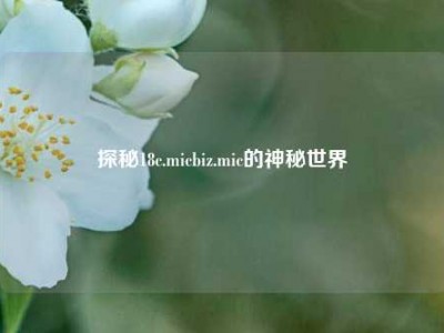 探秘18c.micbiz.mic的神秘世界