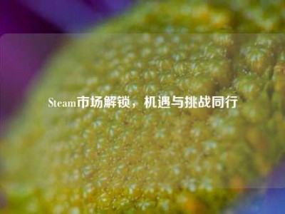 Steam市场解锁，机遇与挑战同行