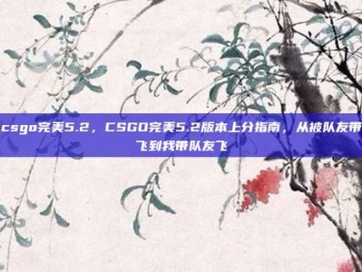 csgo完美5.2，CSGO完美5.2版本上分指南，从被队友带飞到我带队友飞