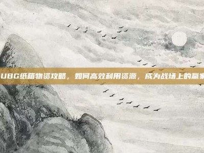 PUBG纸箱物资攻略，如何高效利用资源，成为战场上的赢家！