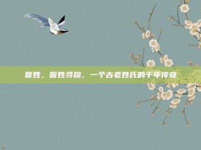 訾姓，訾姓寻踪，一个古老姓氏的千年传奇