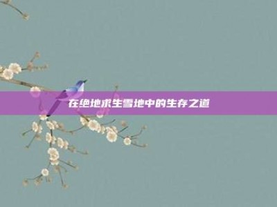 在绝地求生雪地中的生存之道