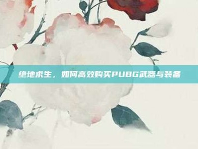 绝地求生，如何高效购买PUBG武器与装备