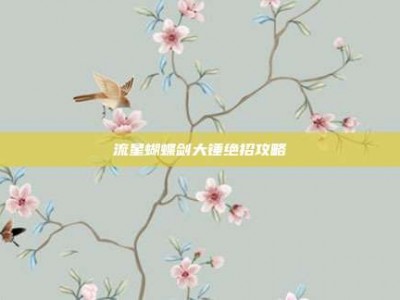 流星蝴蝶剑大锤绝招攻略