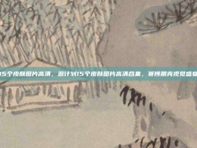 源计划15个皮肤图片高清，源计划15个皮肤图片高清合集，赛博朋克视觉盛宴全解析