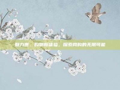 魅力惠，购物新体验，探索网购的无限可能