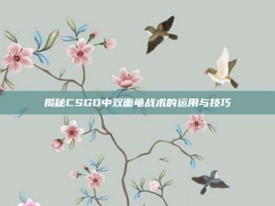 揭秘CSGO中双面龟战术的运用与技巧