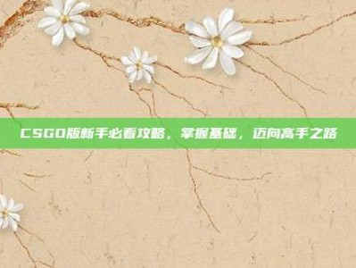 CSGO版新手必看攻略，掌握基础，迈向高手之路
