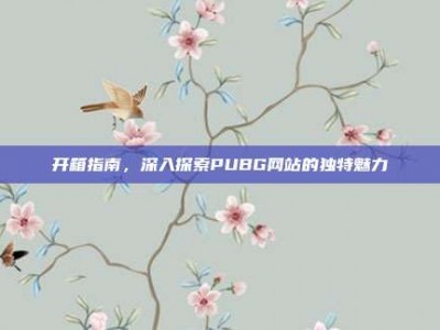 开箱指南，深入探索PUBG网站的独特魅力