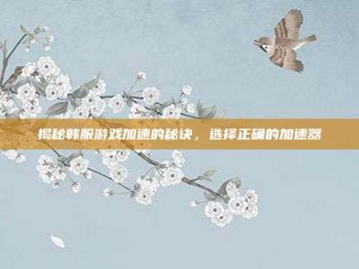 揭秘韩服游戏加速的秘诀，选择正确的加速器
