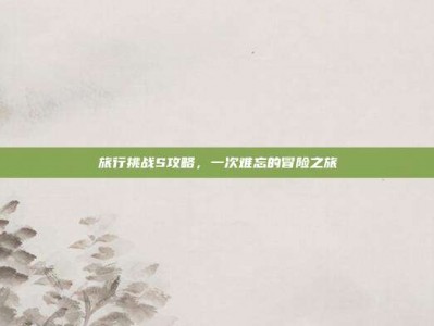 旅行挑战S攻略，一次难忘的冒险之旅