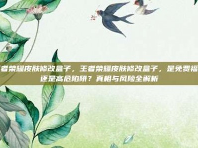 王者荣耀皮肤修改盒子，王者荣耀皮肤修改盒子，是免费福利还是高危陷阱？真相与风险全解析