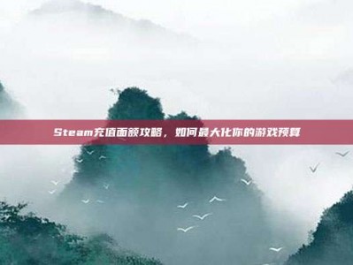 Steam充值面额攻略，如何最大化你的游戏预算