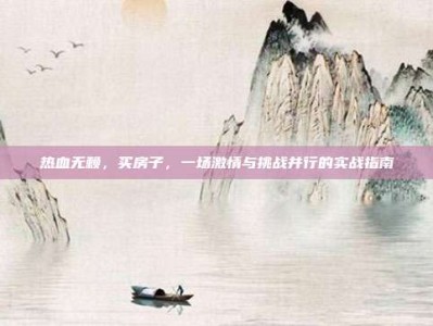 热血无赖，买房子，一场激情与挑战并行的实战指南
