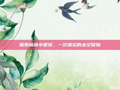 探索塔塔小星球，一次难忘的太空冒险