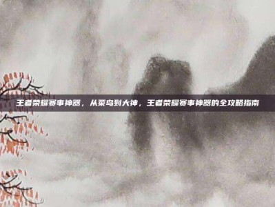 王者荣耀赛事神器，从菜鸟到大神，王者荣耀赛事神器的全攻略指南