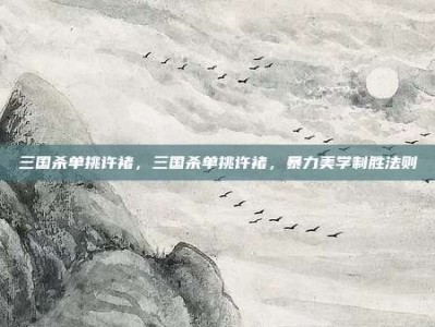 三国杀单挑许褚，三国杀单挑许褚，暴力美学制胜法则