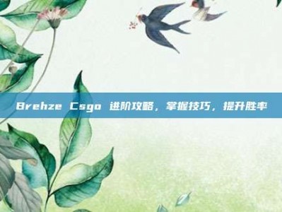 Brehze Csgo 进阶攻略，掌握技巧，提升胜率