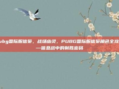 pubg国际服信枭，战场幽灵，PUBG国际服信枭角色全攻略—信息战中的制胜密码