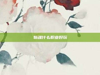 斩魂什么职业好玩